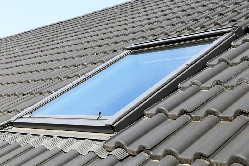 Skylight Repair Service detail