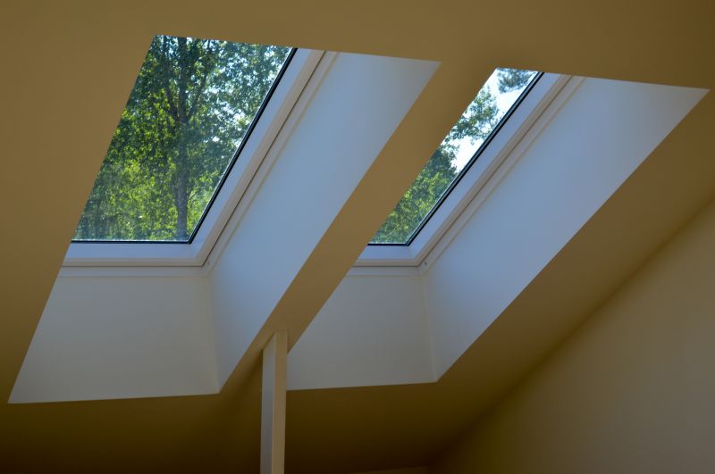 Skylight Replacement detail
