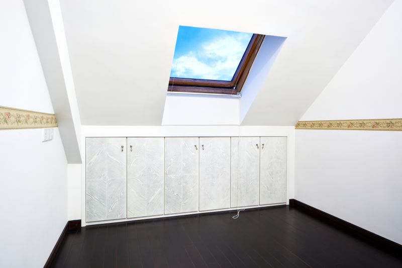 Skylight Renovation