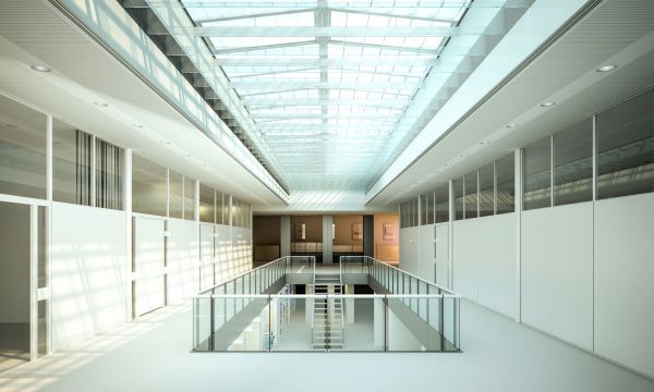 Commercial Skylight Repair in Allen