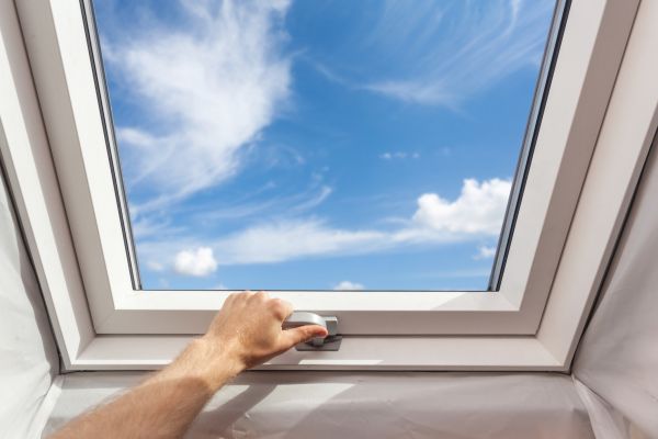 Glass Skylight Repair in Allen